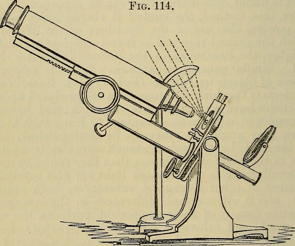 An illustration from The microscope and its revelations, 1881, leaf 231
