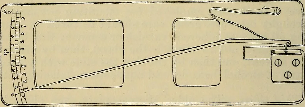 An illustration from The microscope and its revelations, 1881, leaf 265