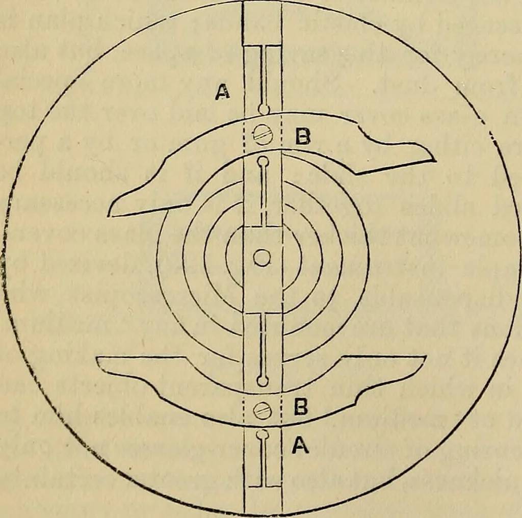 An illustration from The microscope and its revelations, 1881, leaf 275