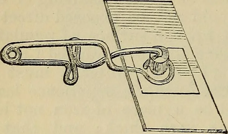 An illustration from The microscope and its revelations, 1881, leaf 277