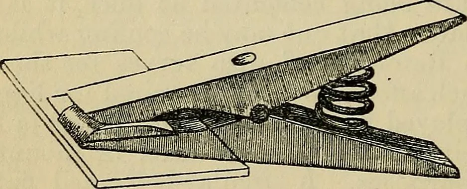 An illustration from The microscope and its revelations, 1881, leaf 277