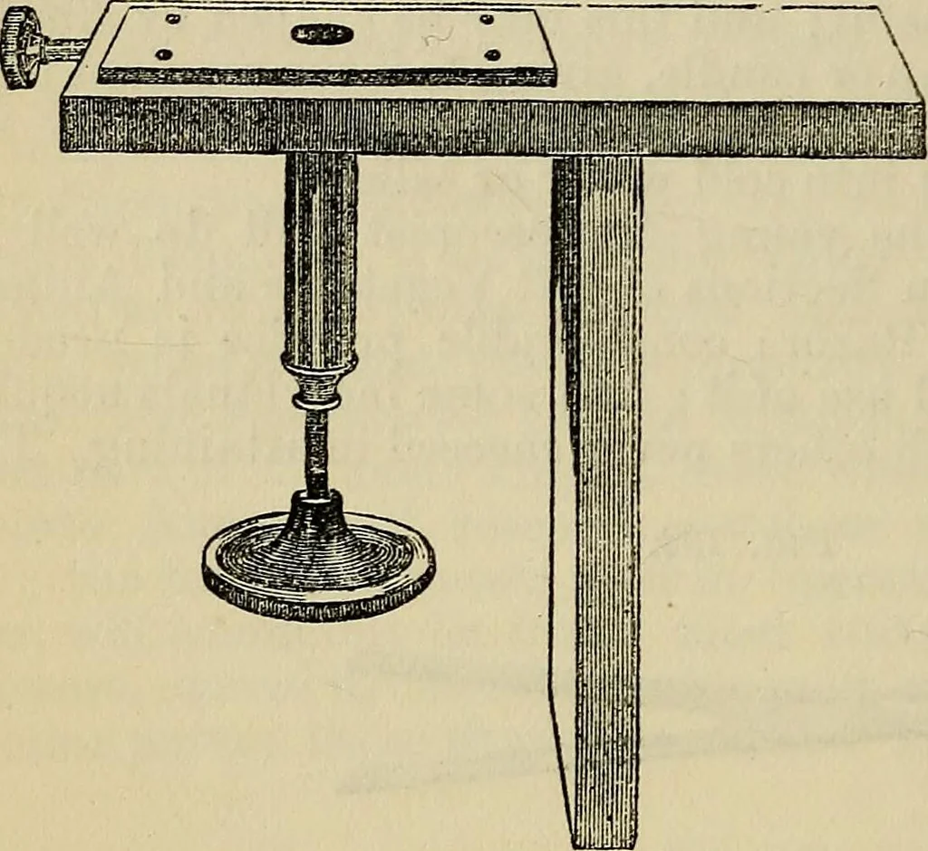 An illustration from The microscope and its revelations, 1881, leaf 281