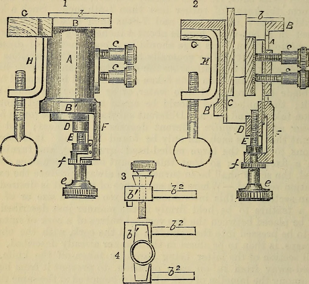 An illustration from The microscope and its revelations, 1881, leaf 283