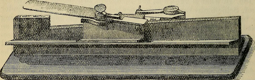 An illustration from The microscope and its revelations, 1881, leaf 285