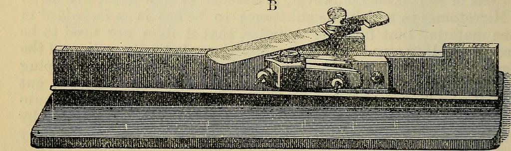 An illustration from The microscope and its revelations, 1881, leaf 285