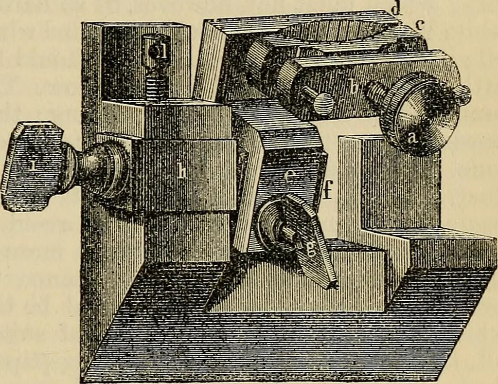 An illustration from The microscope and its revelations, 1881, leaf 286