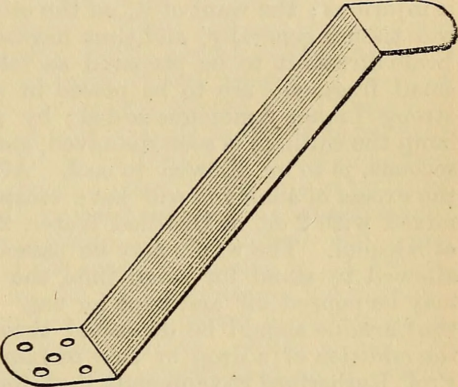 An illustration from The microscope and its revelations, 1881, leaf 300