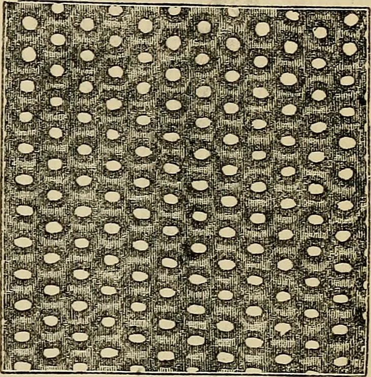 An illustration from The microscope and its revelations, 1881, leaf 394