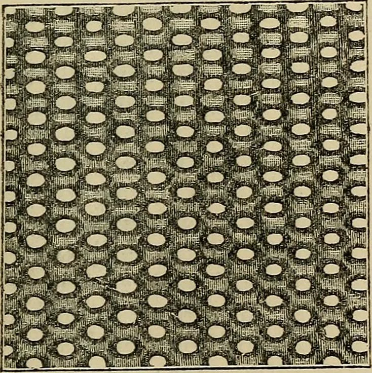 An illustration from The microscope and its revelations, 1881, leaf 394