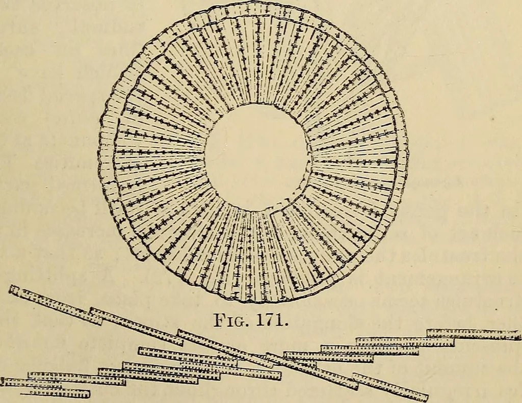 An illustration from The microscope and its revelations, 1881, leaf 402