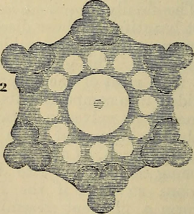 An illustration from The microscope and its revelations, 1881, leaf 409