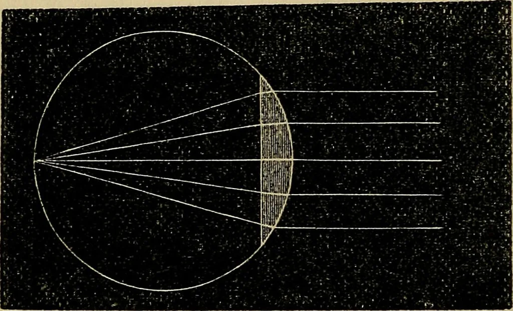 An illustration from The microscope and its revelations, 1881, leaf 45