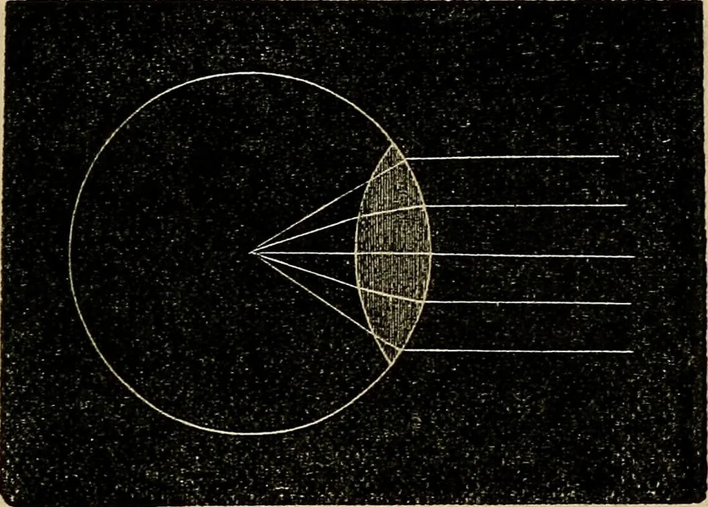 An illustration from The microscope and its revelations, 1881, leaf 46