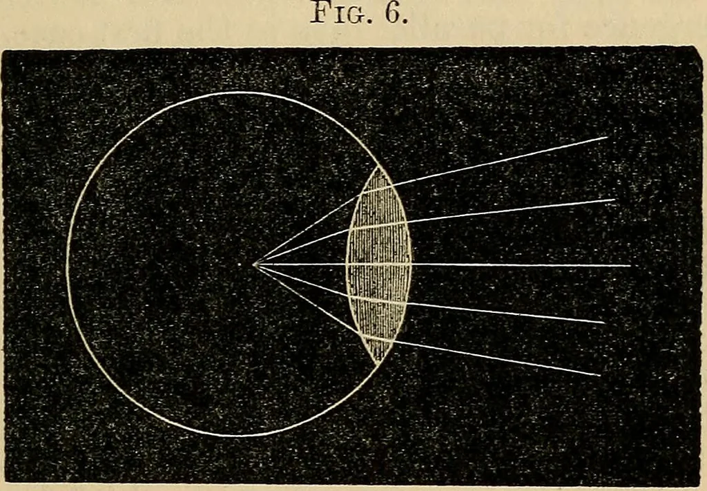An illustration from The microscope and its revelations, 1881, leaf 48