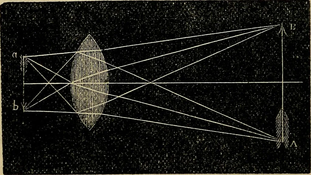 An illustration from The microscope and its revelations, 1881, leaf 49
