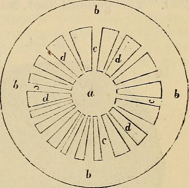 An illustration from The microscope and its revelations, 1881, leaf 508