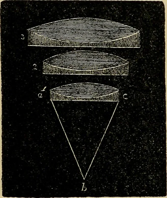 An illustration from The microscope and its revelations, 1881, leaf 55
