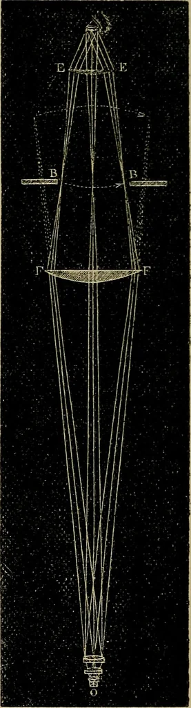 An illustration from The microscope and its revelations, 1881, leaf 71