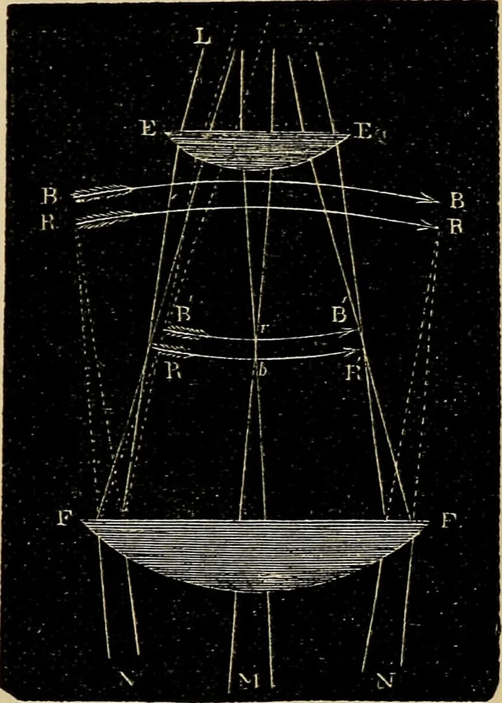 An illustration from The microscope and its revelations, 1881, leaf 72