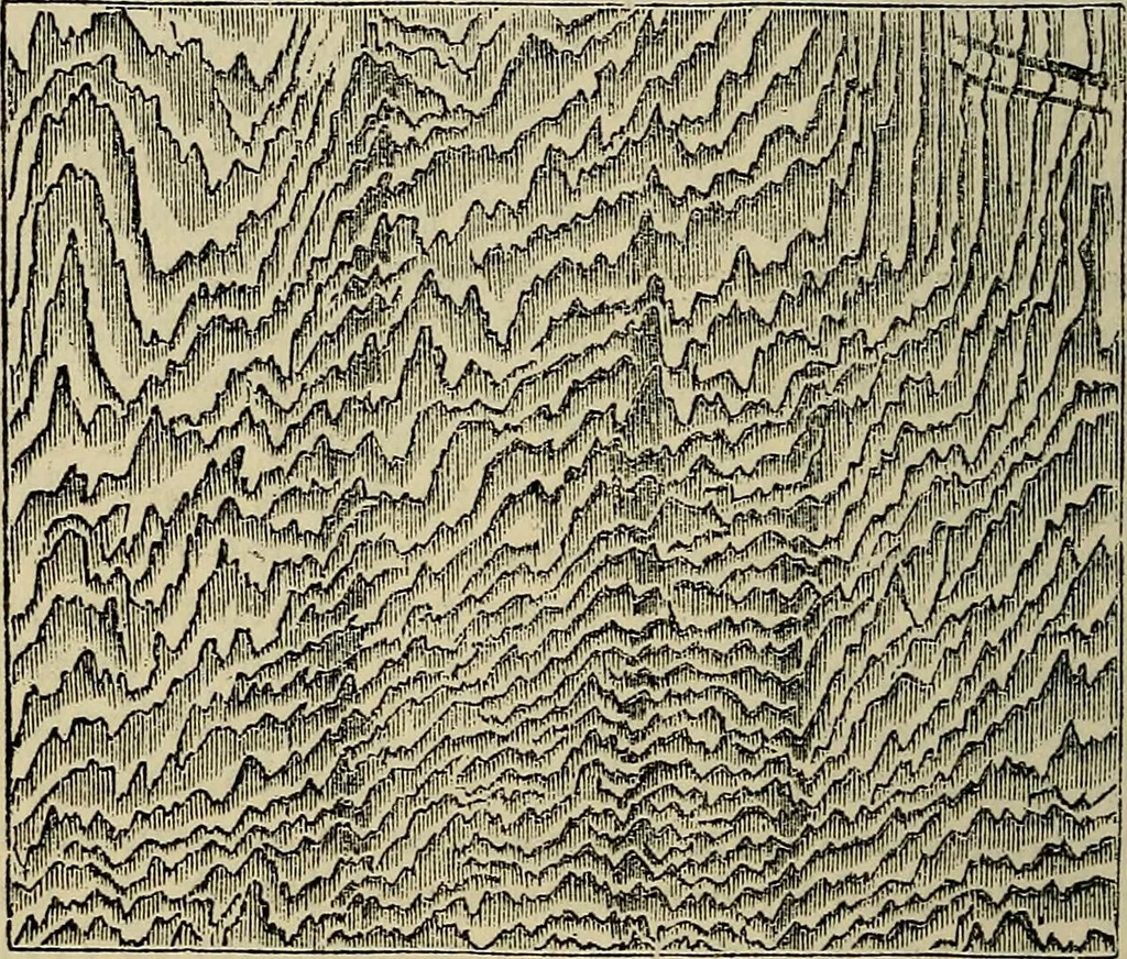 An illustration from The microscope and its revelations, 1881, leaf 755