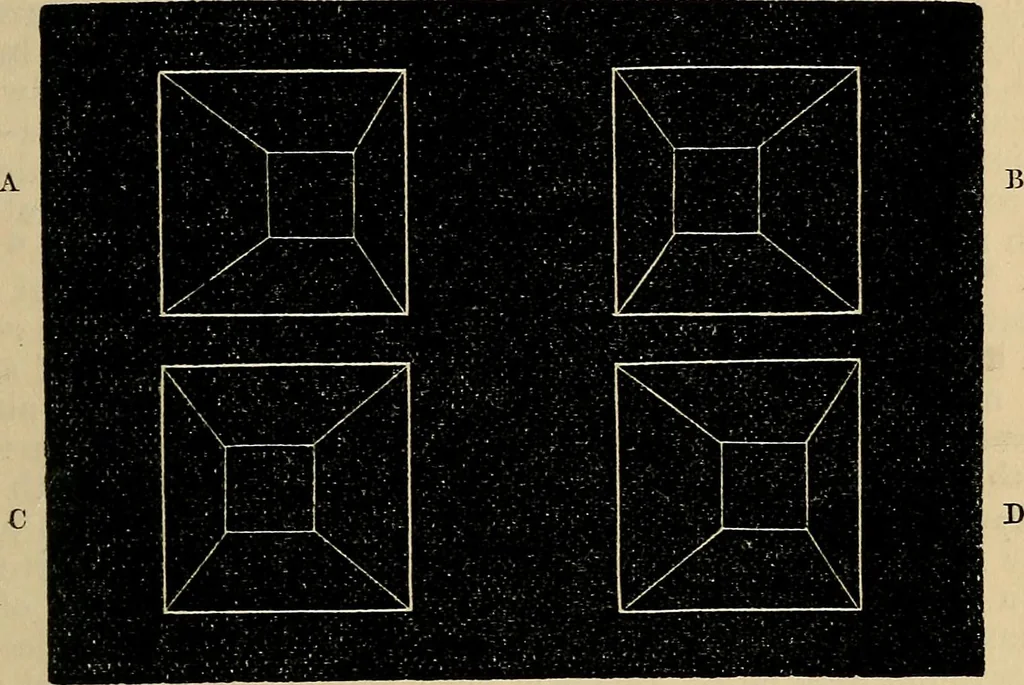 An illustration from The microscope and its revelations, 1881, leaf 76