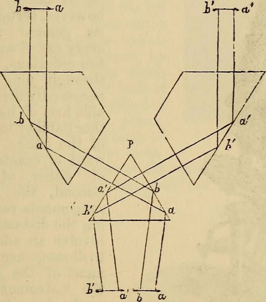 An illustration from The microscope and its revelations, 1881, leaf 78