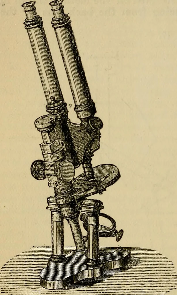 An illustration from The microscope and its revelations, 1881, leaf 79