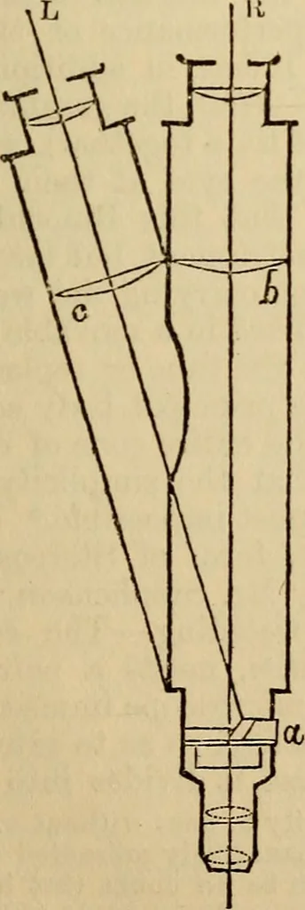 An illustration from The microscope and its revelations, 1881, leaf 80