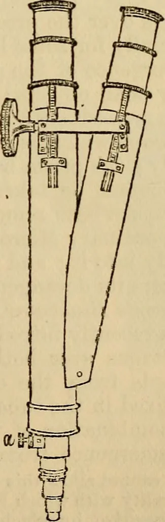 An illustration from The microscope and its revelations, 1881, leaf 80