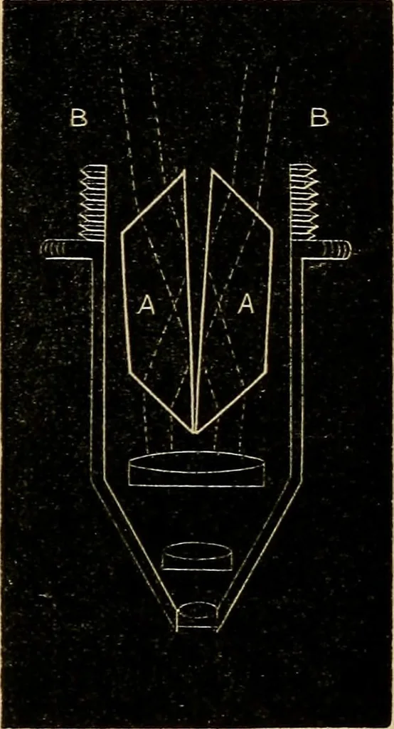 An illustration from The microscope and its revelations, 1881, leaf 82
