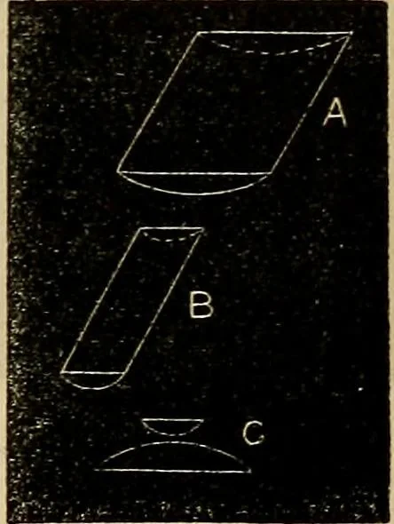 An illustration from The microscope and its revelations, 1881, leaf 82