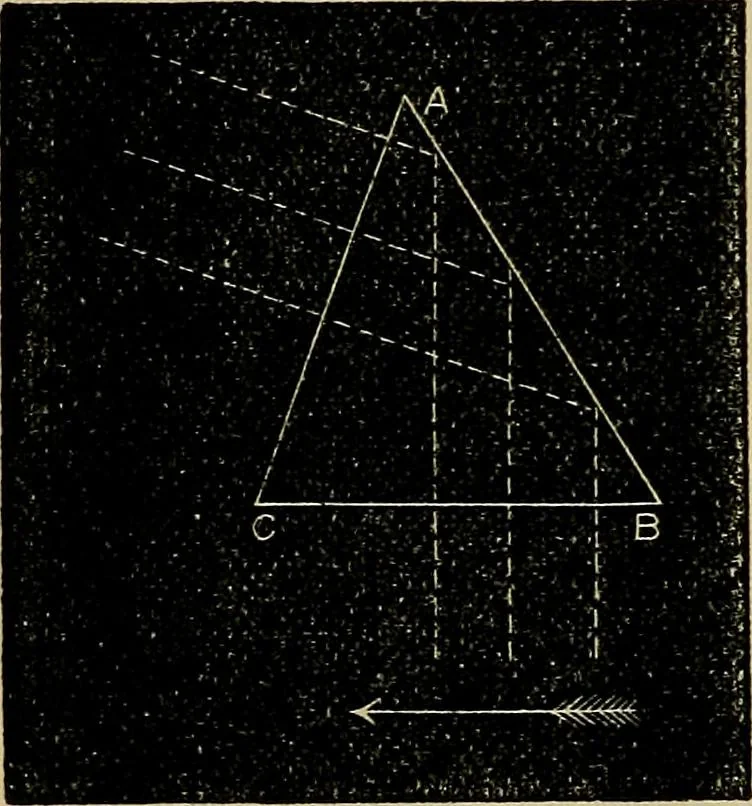 An illustration from The microscope and its revelations, 1881, leaf 83