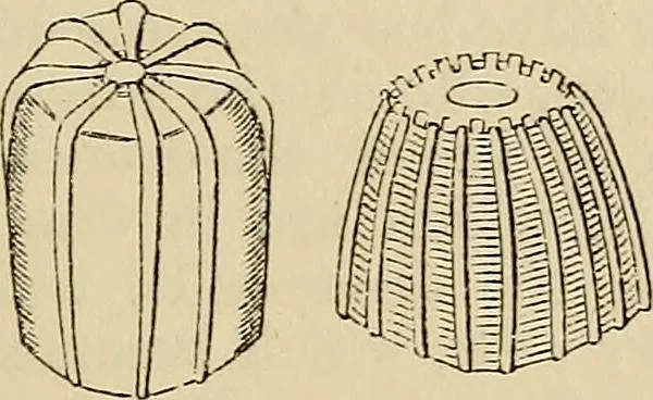 An illustration from The microscope and its revelations, 1881, leaf 844