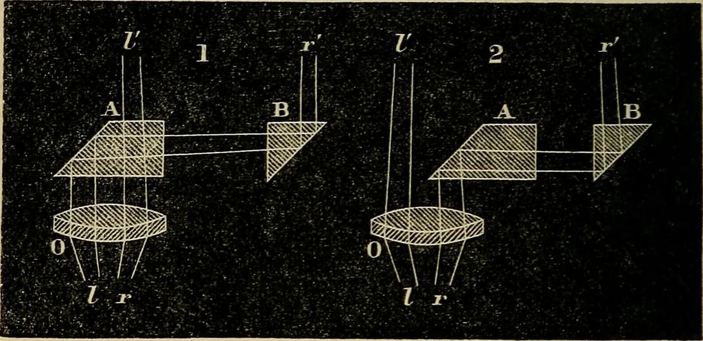 An illustration from The microscope and its revelations, 1881, leaf 85