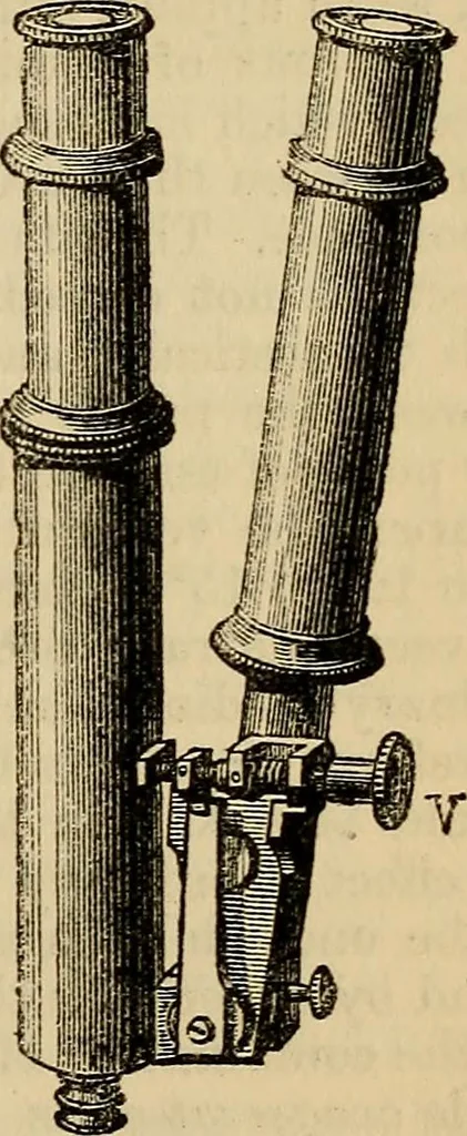 An illustration from The microscope and its revelations, 1881, leaf 86