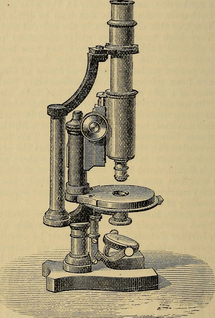 An illustration from The microscope and its revelations, 1881, leaf 927