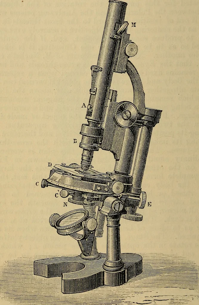 An illustration from The microscope and its revelations, 1881, leaf 929