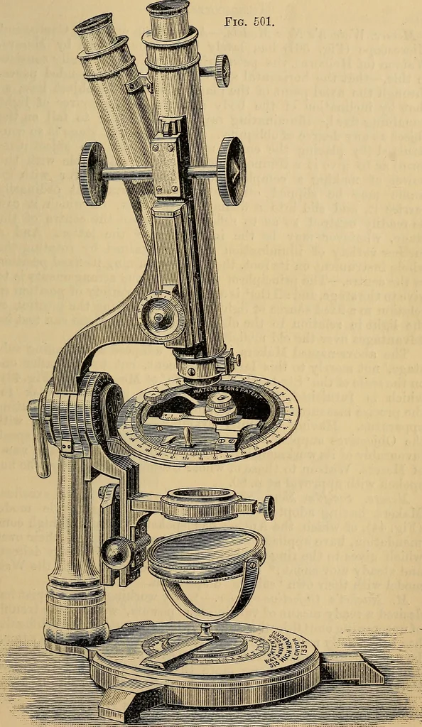An illustration from The microscope and its revelations, 1881, leaf 946