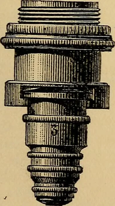An illustration from The microscope and its revelations, 1881, leaf 948