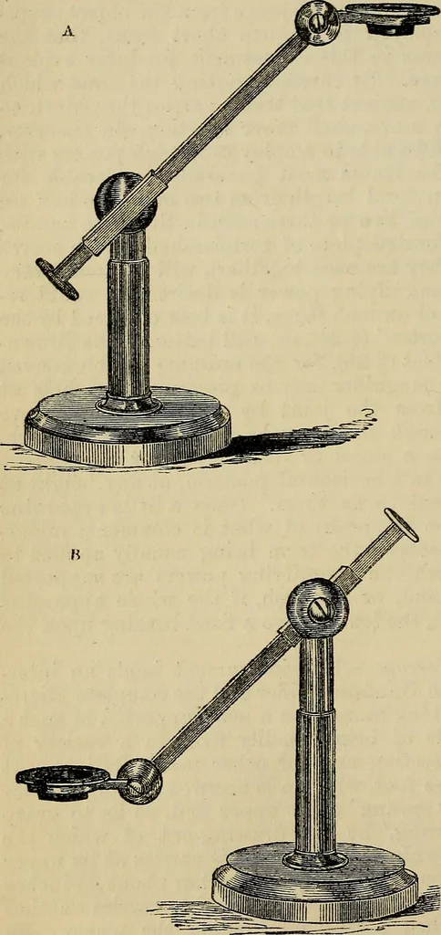An illustration from The microscope and its revelations, 1881, leaf 97