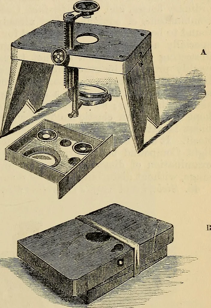 An illustration from The microscope and its revelations, 1881, leaf 98