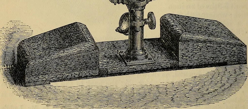 An illustration from The microscope and its revelations, 1881, leaf 99
