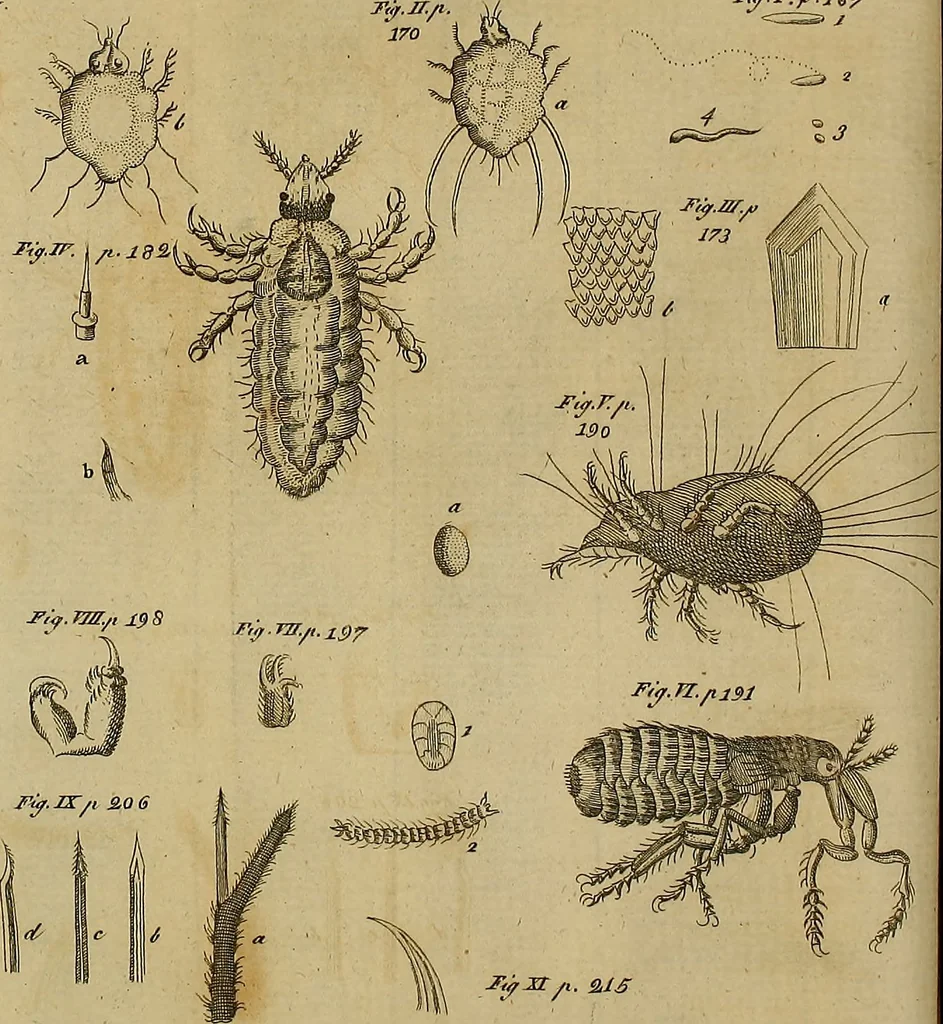 An illustration from The microscope made easy: or, I. The nature, uses and magnifying powers of the best kinds of microscopes ... II. An account of what surprizing discoveries have been already made by the microscope .., 1754, leaf 225