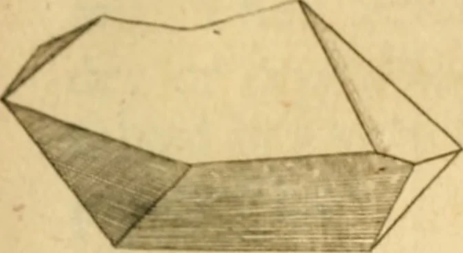 An illustration from The microscope made easy: or, I. The nature, uses and magnifying powers of the best kinds of microscopes ... II. An account of what surprizing discoveries have been already made by the microscope .., 1754, leaf 320