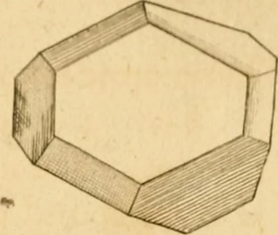 An illustration from The microscope made easy: or, I. The nature, uses and magnifying powers of the best kinds of microscopes ... II. An account of what surprizing discoveries have been already made by the microscope .., 1754, leaf 320