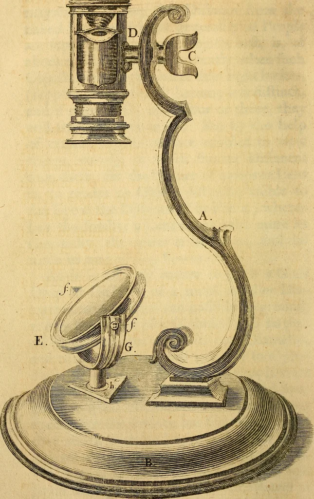 An illustration from The microscope made easy: or, I. The nature, uses and magnifying powers of the best kinds of microscopes ... II. An account of what surprizing discoveries have been already made by the microscope .., 1754, leaf 33