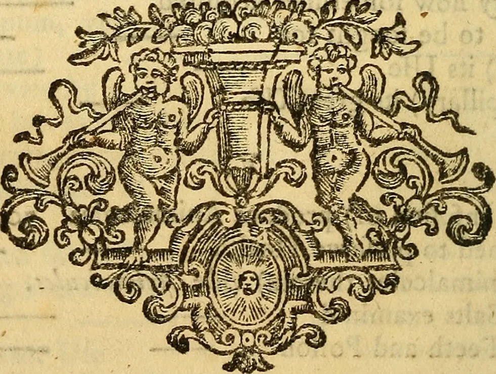 An illustration from The microscope made easy: or, I. The nature, uses and magnifying powers of the best kinds of microscopes ... II. An account of what surprizing discoveries have been already made by the microscope .., 1754, leaf 385