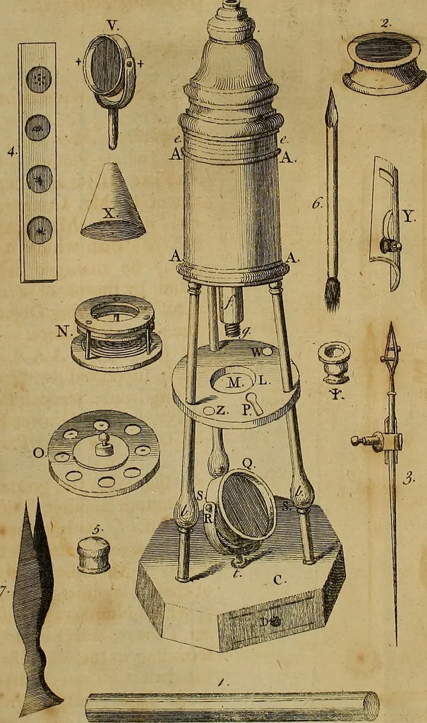 An illustration from The microscope made easy: or, I. The nature, uses and magnifying powers of the best kinds of microscopes ... II. An account of what surprizing discoveries have been already made by the microscope .., 1754, leaf 45
