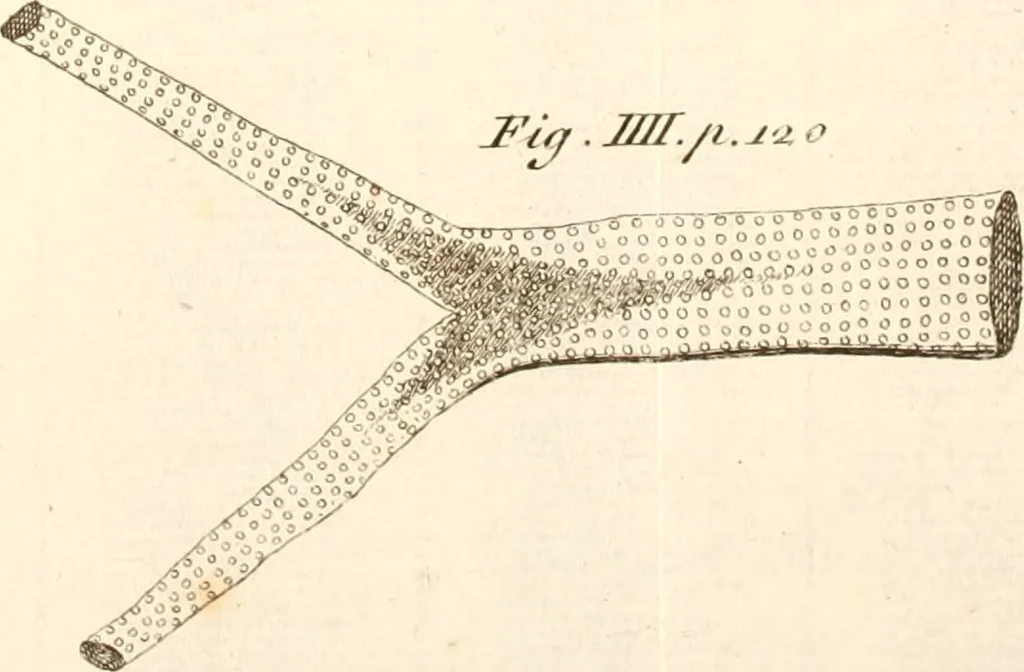 An illustration from The microscope made easy : or, I. The nature, uses, and magnifying powers of the best kinds of microscopes described, calculated, and explained ... II. An account of what surprizing discoveries have been already made by the microscope: with useful reflections on them .., 1742, leaf 148