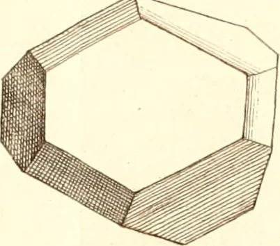 An illustration from The microscope made easy : or, I. The nature, uses, and magnifying powers of the best kinds of microscopes described, calculated, and explained ... II. An account of what surprizing discoveries have been already made by the microscope: with useful reflections on them .., 1742, leaf 314